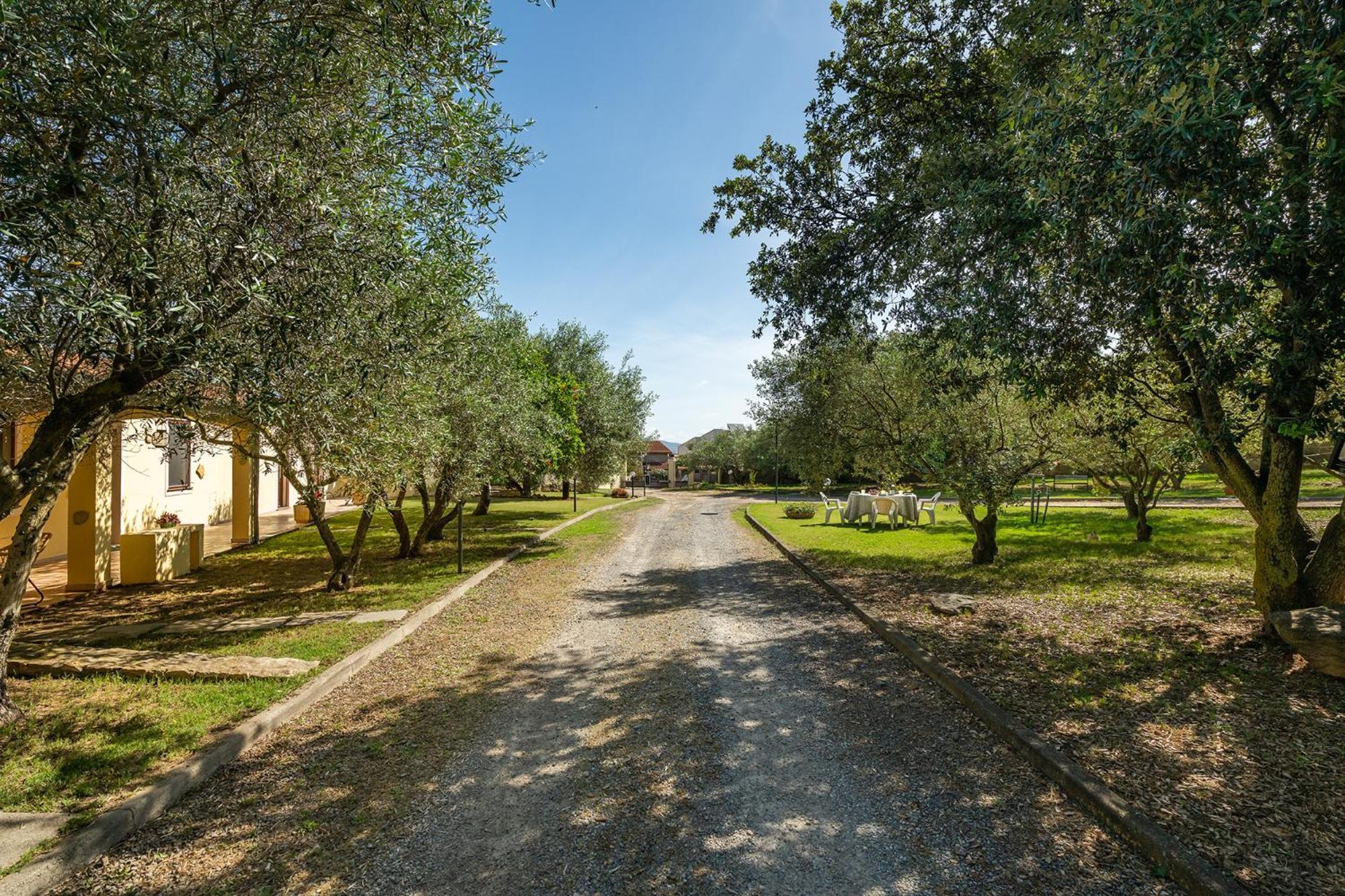 Residenza Parco Degli Ulivi Villa Villamassargia Екстериор снимка